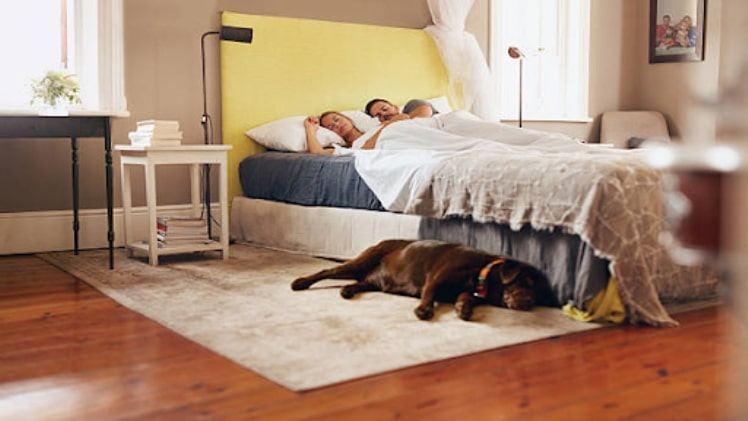 How Can You Choose The Right Mattress For A Good Night’s Sleep